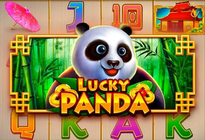 Sicheres Spielen bei Kikabet Casino Spielautomaten, Live Casino & Tischspiele.