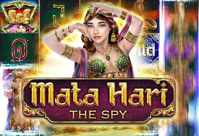 24/7 Kundenservice für Kikabet Casino Promocode.