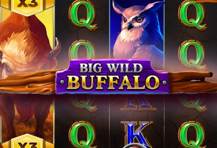 Recibe tu Oferta de Apuesta Gratuita por Registro en Kikabet Casino.